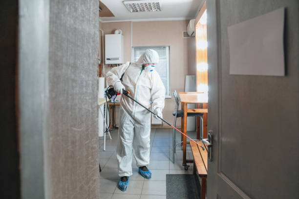 Best Dehumidification Services  in East Tawas, MI