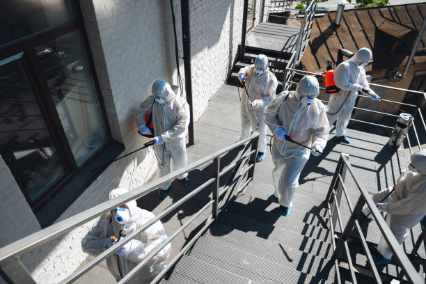 Best Industrial Mold Remediation  in East Tawas, MI
