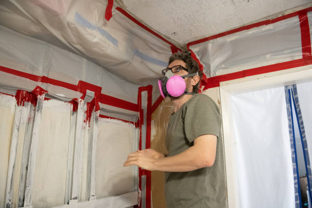 Mold Remediation for Vacation Homes in East Tawas, MI