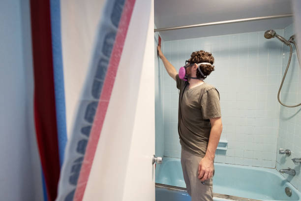 Best Mold Remediation for Vacation Homes  in East Tawas, MI