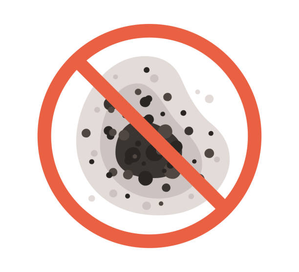 Best Environmental Consulting for Mold Prevention  in East Tawas, MI