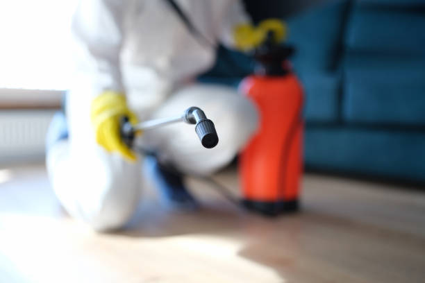 Best Mold Remediation for Healthcare Facilities  in East Tawas, MI